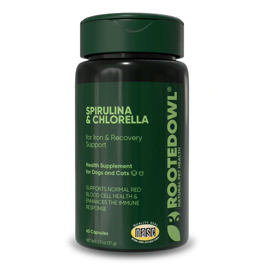 Spirulina & Chlorella Supplement for Dogs & Cats – Immune, Detox & Recovery Support