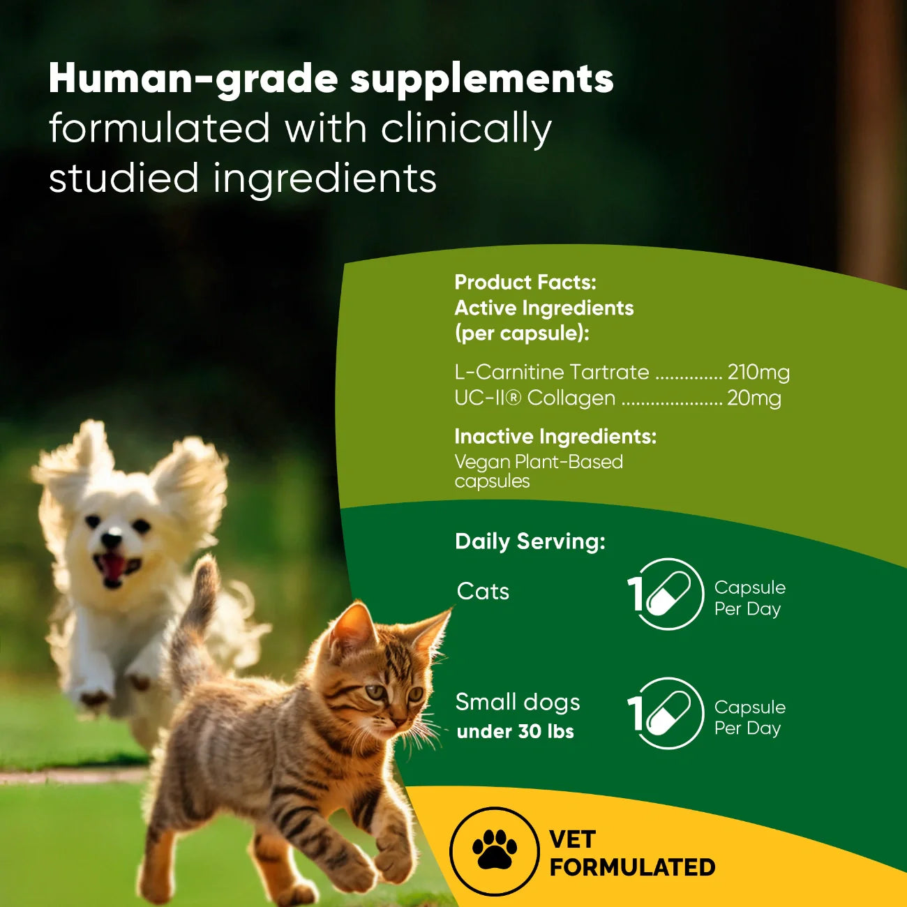 Joint Supplement for Cats & Small Dogs — UC-II® Collagen + L-Carnitine