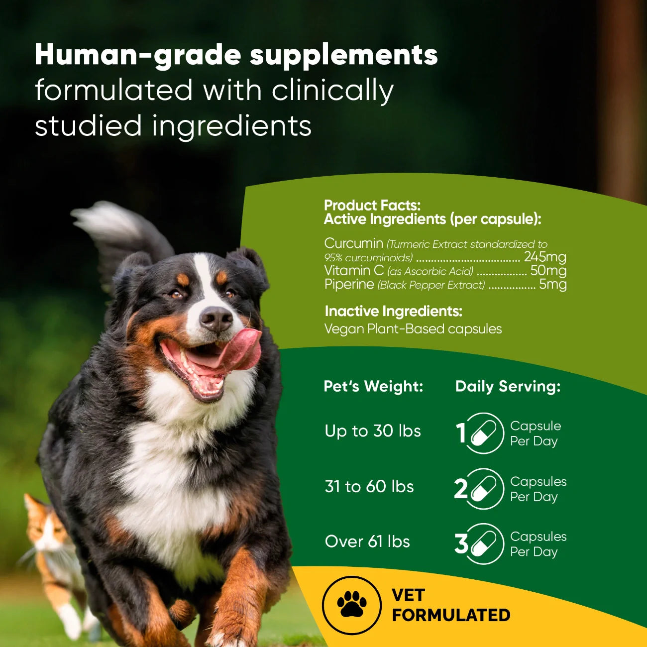 Turmeric Supplement for Dogs & Cats – Curcumin, Black Pepper & Vitamin C Wellness Formula