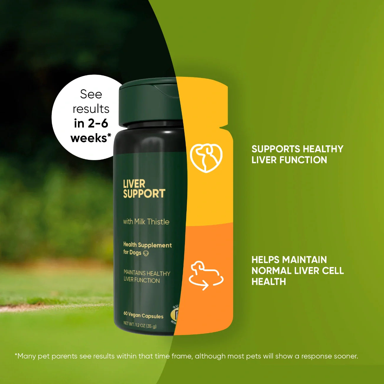 Liver Support Supplement for Dogs – Milk Thistle Extract for Liver Health & Natural Detox Support
