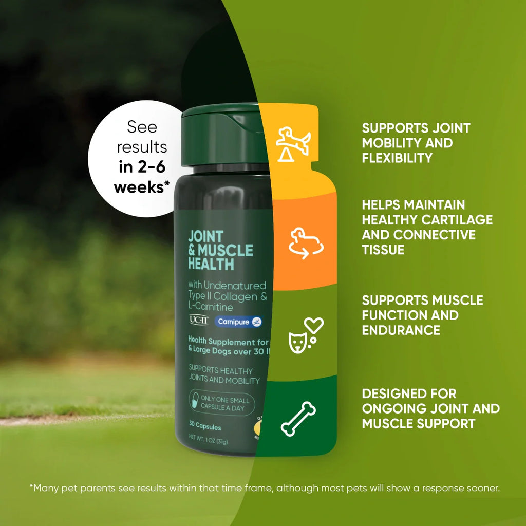 Joint Supplement for Medium & Large Dogs — UC-II® Collagen + L-Carnitine