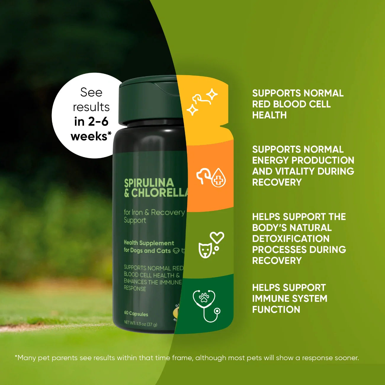 Spirulina & Chlorella Supplement for Dogs & Cats – Immune, Detox & Recovery Support
