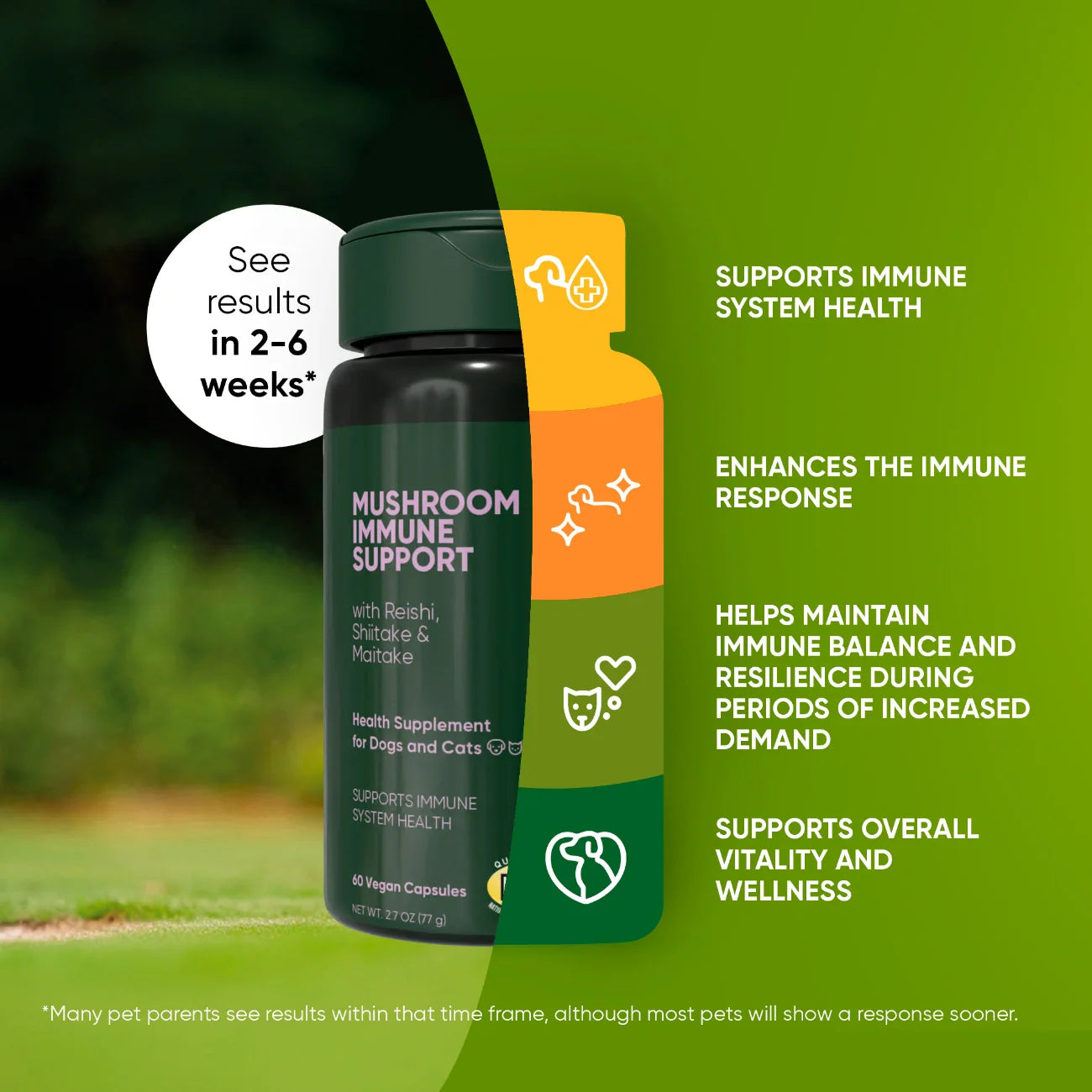 Natural Immunity Supplement for Dogs & Cats – Reishi, Shiitake & Maitake Mushroom Blend