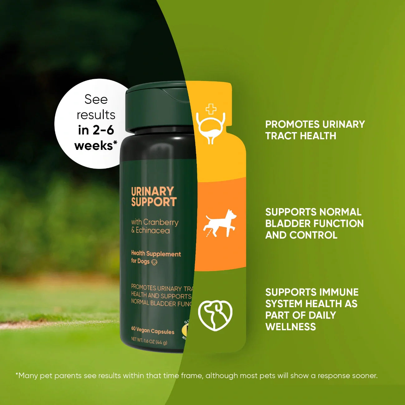 Urinary & Bladder Support Supplement for Dogs — Cranberry, Echinacea & Vitamin C