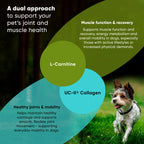 Joint Supplement for Cats & Small Dogs — UC-II® Collagen + L-Carnitine