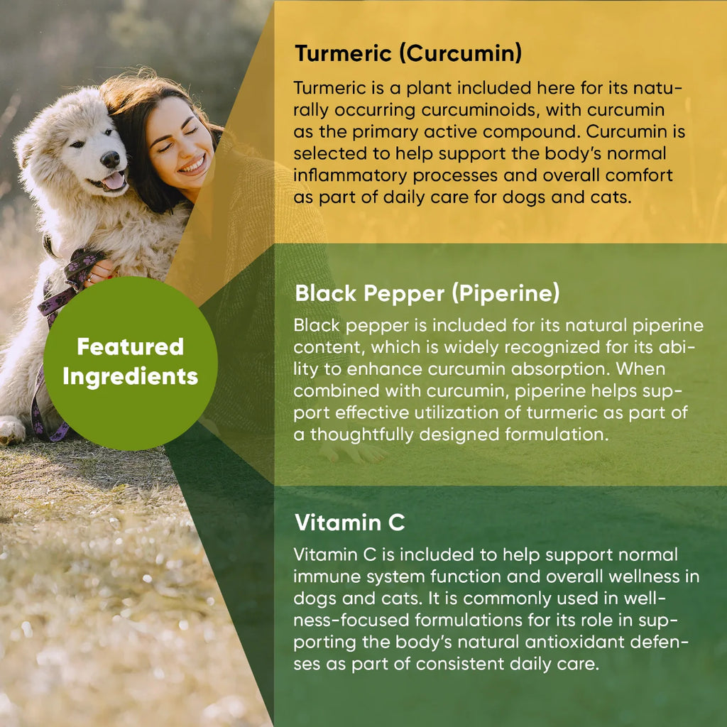Turmeric Supplement for Dogs & Cats – Curcumin, Black Pepper & Vitamin C Wellness Formula