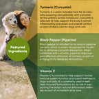Turmeric Supplement for Dogs & Cats – Curcumin, Black Pepper & Vitamin C Wellness Formula