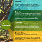 Spirulina & Chlorella Supplement for Dogs & Cats – Immune, Detox & Recovery Support