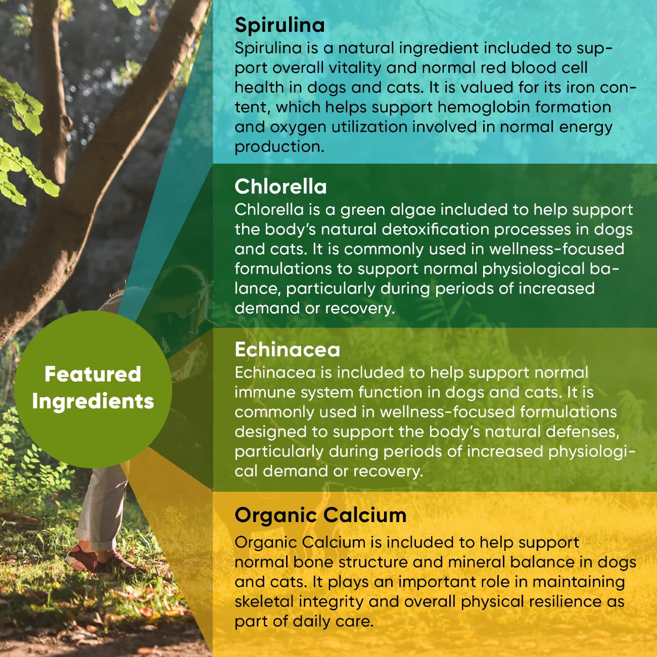 Spirulina & Chlorella Supplement for Dogs & Cats – Immune, Detox & Recovery Support