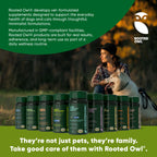 Turmeric Supplement for Dogs & Cats – Curcumin, Black Pepper & Vitamin C Wellness Formula
