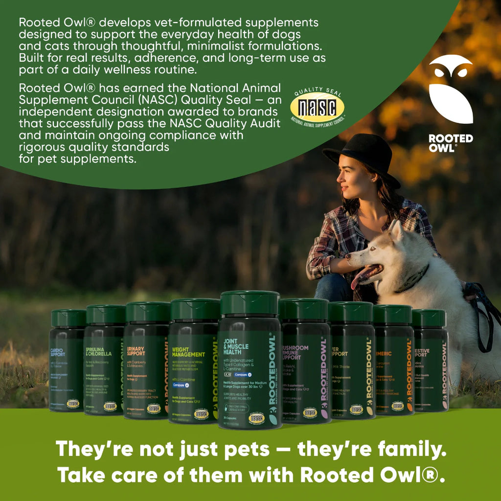 Spirulina & Chlorella Supplement for Dogs & Cats – Immune, Detox & Recovery Support