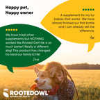 Joint Supplement for Cats & Small Dogs — UC-II® Collagen + L-Carnitine