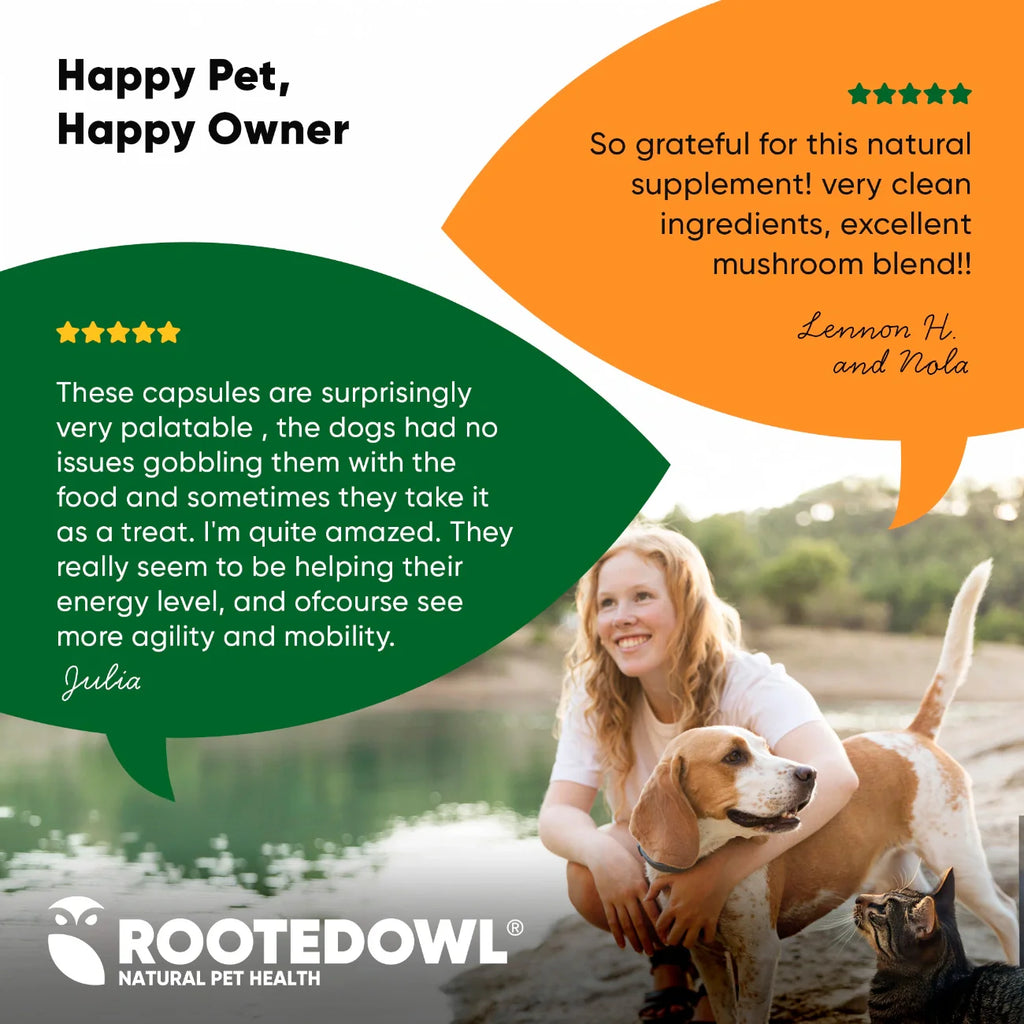 Natural Immunity Supplement for Dogs & Cats – Reishi, Shiitake & Maitake Mushroom Blend