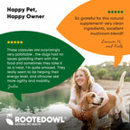 Natural Immunity Supplement for Dogs & Cats – Reishi, Shiitake & Maitake Mushroom Blend