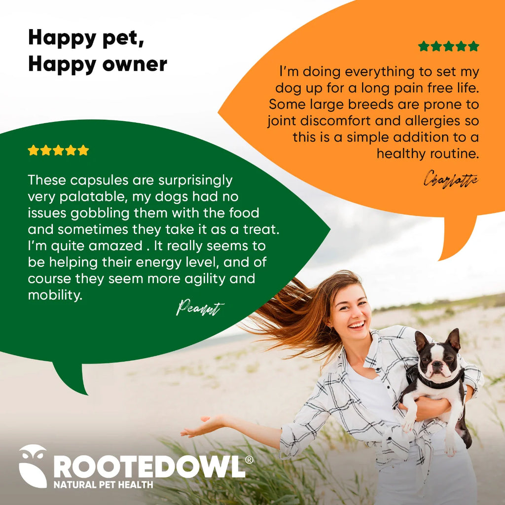 Turmeric Supplement for Dogs & Cats – Curcumin, Black Pepper & Vitamin C Wellness Formula