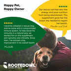 Spirulina & Chlorella Supplement for Dogs & Cats – Immune, Detox & Recovery Support