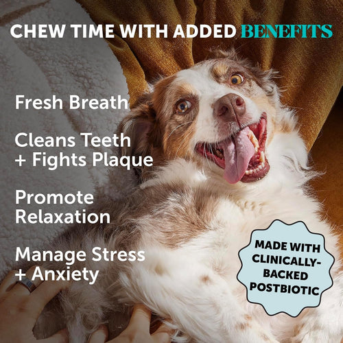 Dog Calming Bundle - Hemp Calming Chews & Dental Sticks for Stress and Anxiety Relief