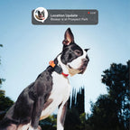 Fi Mini GPS & Health Tracker for Dogs - Lightweight Waterproof Smart Pet Tracker