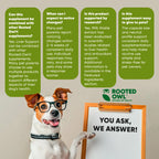 Liver Support Supplement for Dogs – Milk Thistle Extract for Liver Health & Natural Detox Support