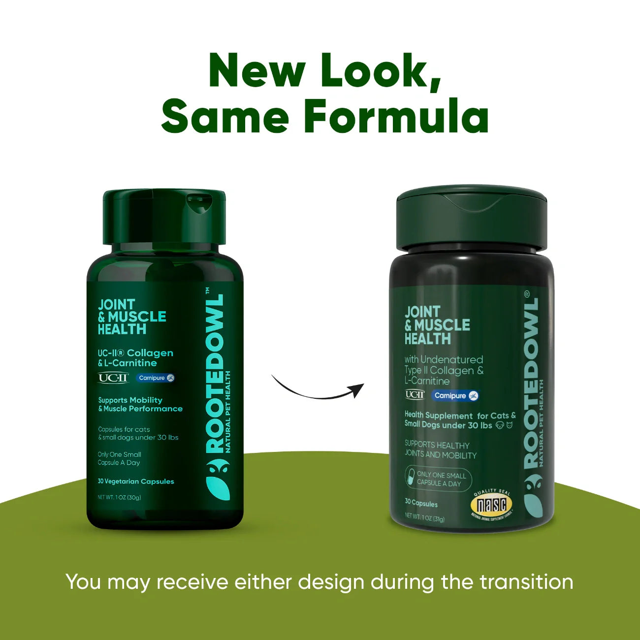 Joint Supplement for Cats & Small Dogs — UC-II® Collagen + L-Carnitine