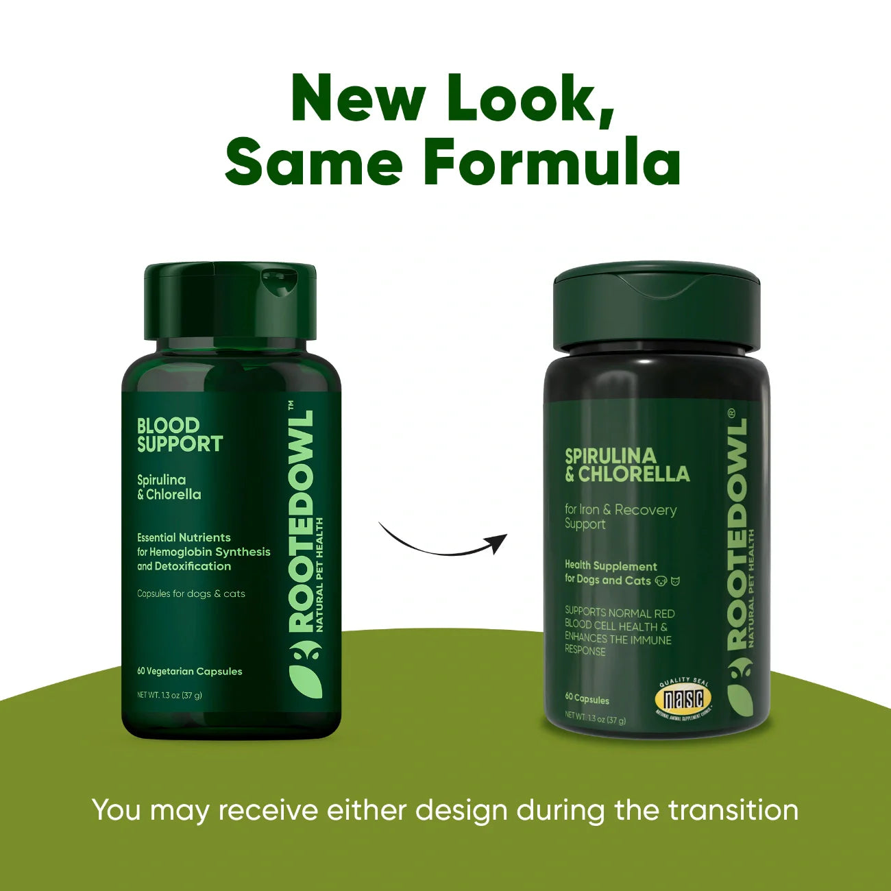 Spirulina & Chlorella Supplement for Dogs & Cats – Immune, Detox & Recovery Support