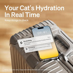 Dockstream Wireless Water Pump App Cat Fountain | Smart Stainless Steel Hydration System with App Tracking