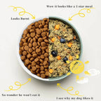 Pet Fresh 5-in-1 Smart Pet Food Maker for Dogs & Cats – 2.5L Food Cooker, Steamer, Blender & Chopper