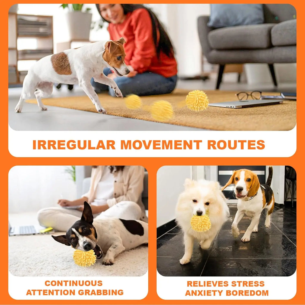 Interactive Smart Rolling & Bouncing Pet Ball - Motion Activated