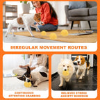 Interactive Smart Rolling & Bouncing Pet Ball - Motion Activated
