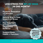 Dog Calming Bundle - Hemp Calming Chews & Dental Sticks for Stress and Anxiety Relief