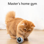 Smart Interactive Cat Toy Ball – USB Rechargeable Self-Rotating Rolling & Jumping Exercise Toy with LED Lights